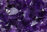 Free-Standing Amethyst Crystal Cluster - Uruguay #368260-1